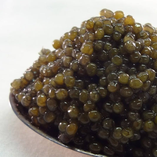 Hackleback Caviar